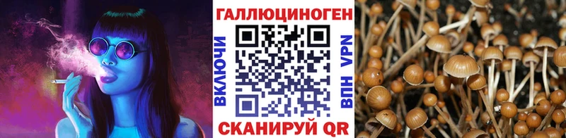 Псилоцибиновые грибы GOLDEN TEACHER  цена наркотик  Надым 