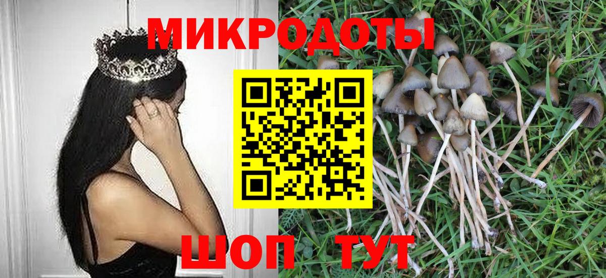 Надым  Галлюциногенные грибы GOLDEN TEACHER  Вход с VPN 